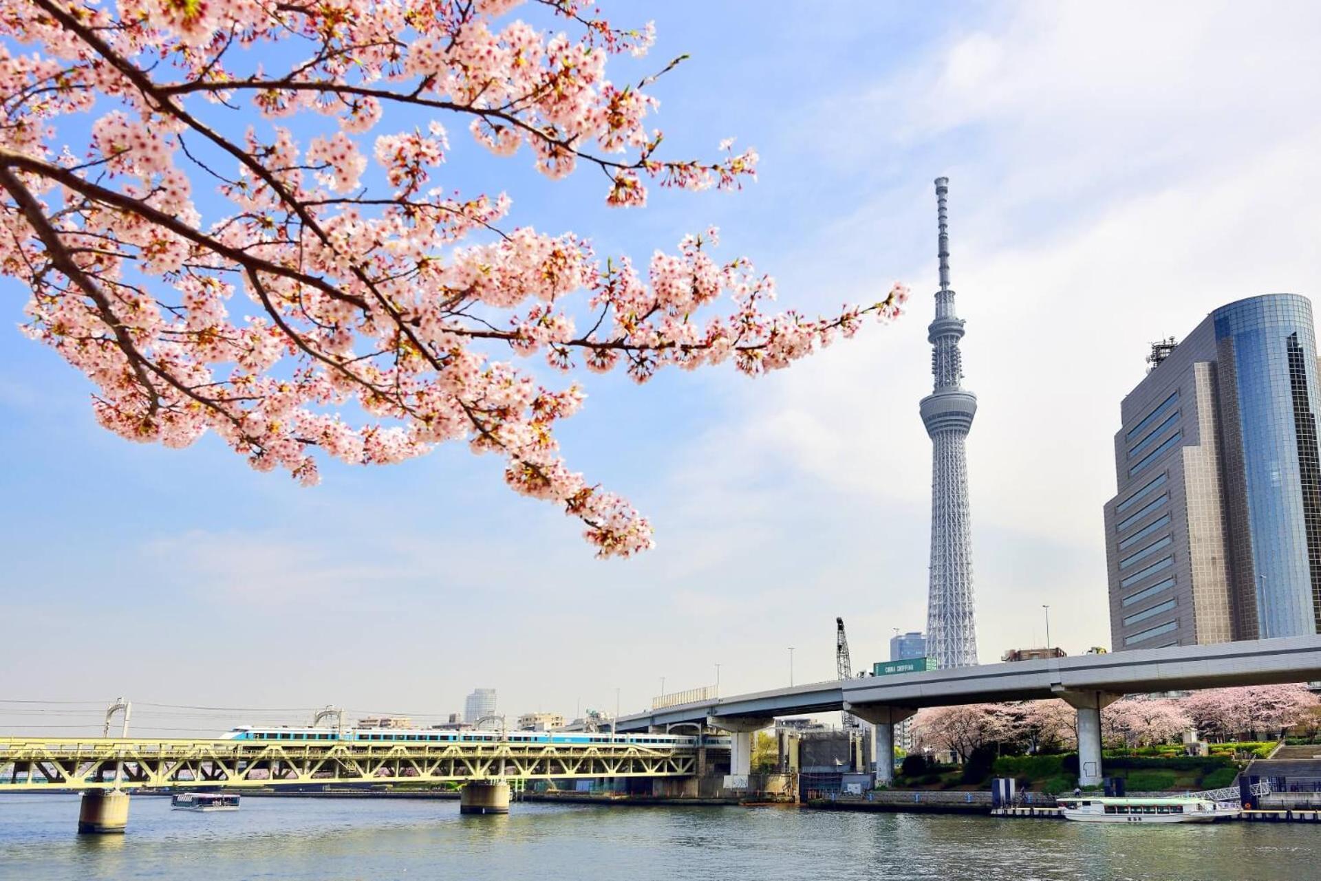 Honeys Guest House Präfektur Tokio Exterior foto